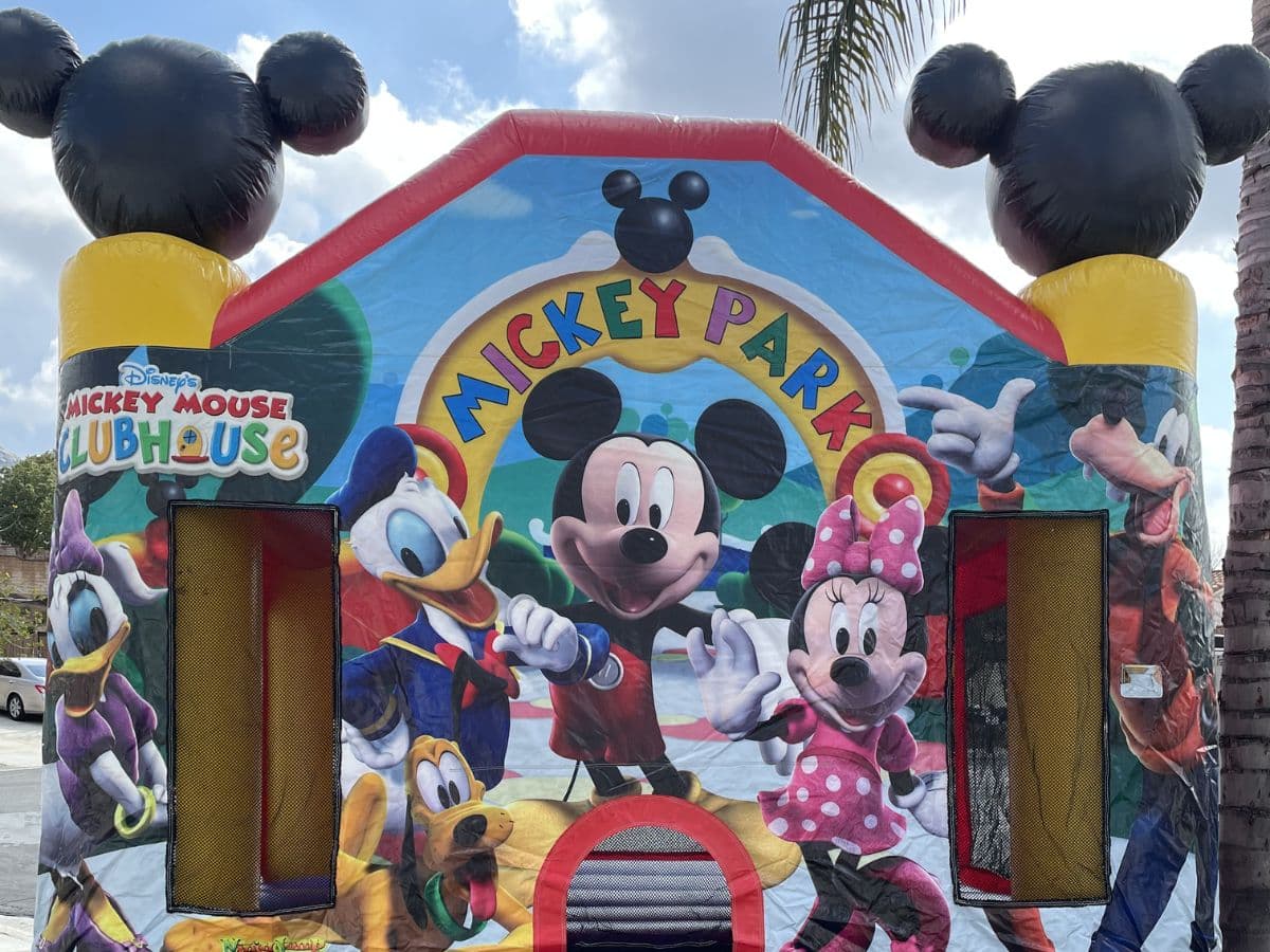 Mickey Mouse Jumper 13x13